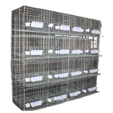 Cage d&#39;élevage de pigeons de couche de haute qualité/pas cher à vendre Cage de pigeon